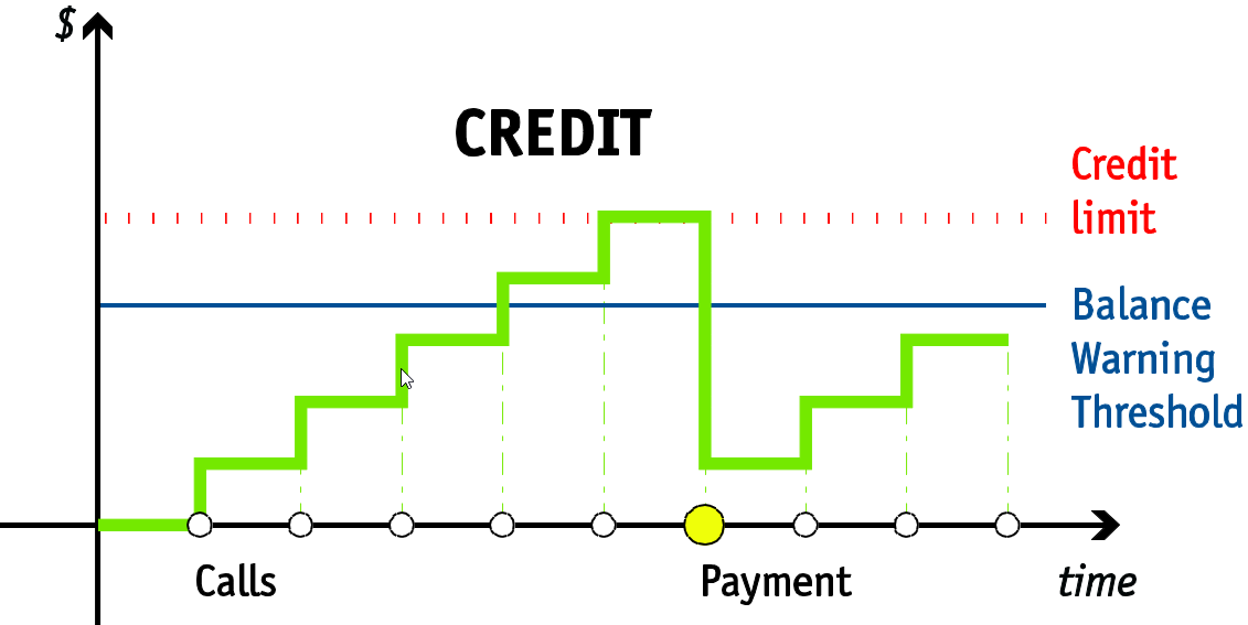 Credit account with individual credit limit